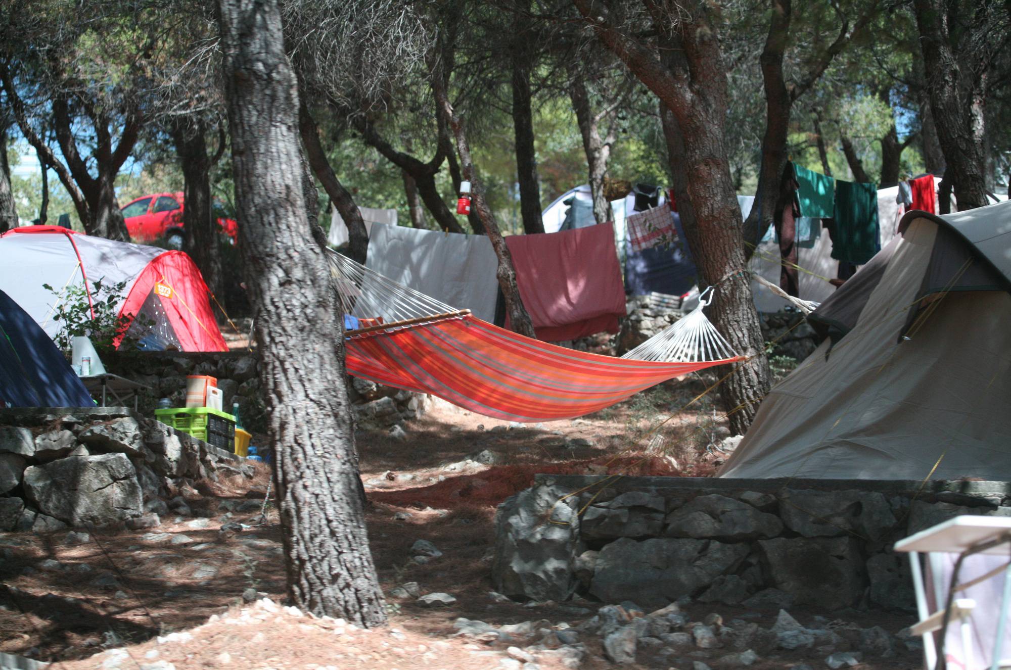 Bares Camping Scenery - 1